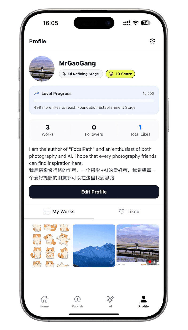 Profile and works preview